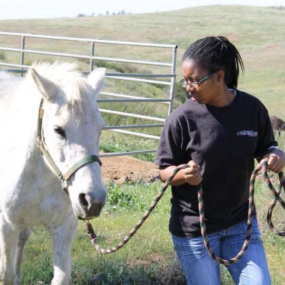 Meet your Posher, Ruth - Picture 1 of 1